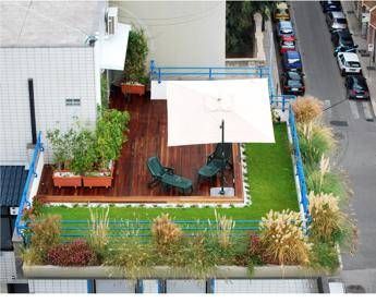 Dal basilico al pomodoro, è tempo di lavori agricoli in balcone Dal basilico al pomodoro, è tempo di lavori agricoli in balcone
